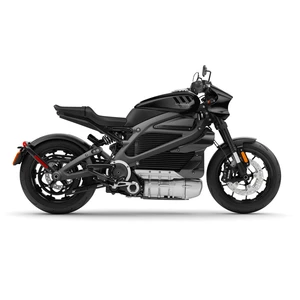 LiveWire ONE Electric Motorcycle