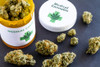 Beginner’s Guide To Cannabis Packaging and Labeling