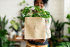 Kraft Paper and Why It’s So Popular