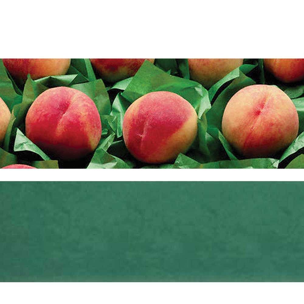 wholesale-packaging-tissue-paper-mid-atlantic-packaging