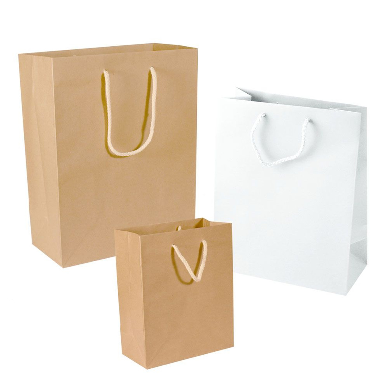 Paper Take-Out Bags - Rope Handles - Rectangle - White - 6..5 x