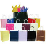 Closeout - High Gloss Paper Shopping Bags