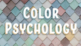 Color Psychology: What Do Packaging Colors Say About Your Brand?