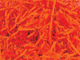 Closeout: Eco Shred - 10 lb Boxes