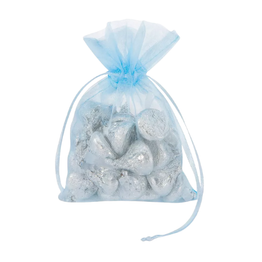 5" X 7" Light Blue Organza Bags/10CT