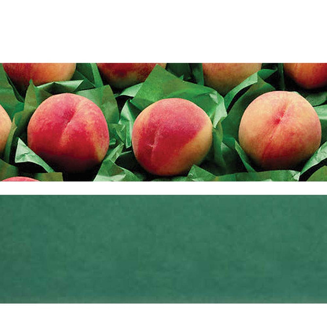 Kiss Tissue Paper Mid Atlantic Packaging