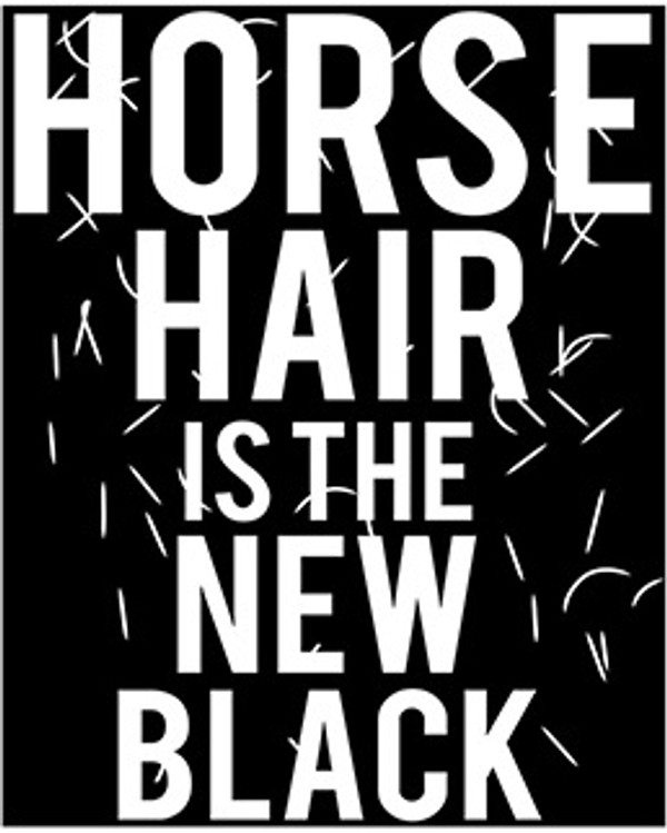 Horse Hair Is the New Black Tshirt