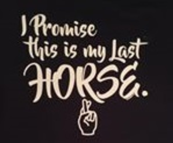 I Promise This is My Last Horse