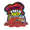 Field Trip Psychedelic Mushroom Gummies