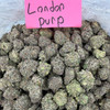 Bulk Indoor THCA Flower