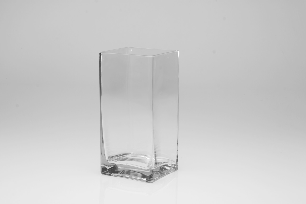 8in Tall Square Clear Glass Vase - Jacobson