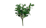 21in Green Holly Bush x5