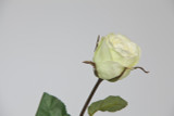 24in Rose Duchess Bud
