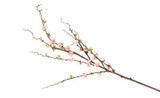 51in Quince Stem - Pink