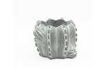 4in Wide Cactus Cement Pot - Grey Wash
