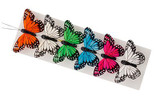 3.5in Feather Butterfly on Wire - Assorted (12pk)