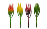 12in Pencil Succulent Pick - Red Yellow Orange (Assorted)