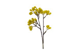 14in Sedum Pick - Yellow