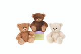 10in Tall Sitting Bears Plush (Assorted)