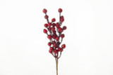 10in Berry Pick - Red