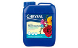 2.5 Gallon Chrysal #2 Transport & Display