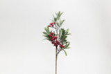 21in Red Berry with Mistletoe Spray