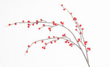 38in Ilex Red Berry Spray x63 (6pk)