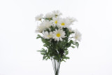 Daisy Bush x12 - White