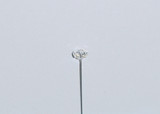 2in Gem Diamante Pin (Box of 100) - Clear