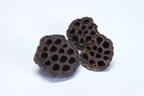 2-3in Lotus Pods (100pk)