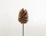 4in Loblolly Pine Cone Pick - Natural (50pk)