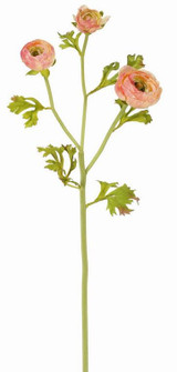 26.5in Ranunculus - Peach