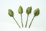 Small Corsage Leaves (100pk)