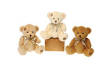 8in Tall Sitting Patch Bears Plush (Assorted)