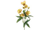22in Helleborus Spray - Green