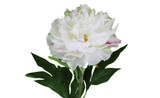 26in Peony Spray - Cream
