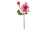 24.5in Real Touch Peony - Hot Pink