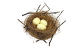 8in Twig Bird Nest with Eggs