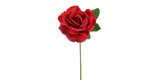 13in Short Rose Stem - Red