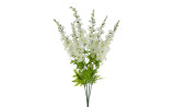Garden Delphinium x7 - White