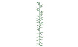 25ft Cluster String Lights, 760 LED - Warm White