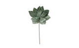 22in Glitter Poinsettia Spray - Sage Green