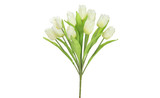 19in Tulip Bush x12 - White