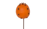 60mm Orange with Cloves on 6in Wire (24pk)
