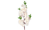 49in Cherry Blossom Branch - Soft Pink