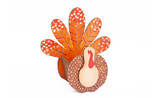10.5in Tall Fall Turkey Planter