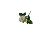 18in Rose Spray x3 - White
