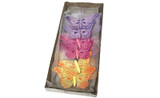 3.5in Feather Butterfly with Clip - Pastel (12pk)