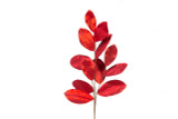 39in Magnolia Leaf Spray - Red