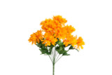 Chrysanthemum Bush x12 - Gold